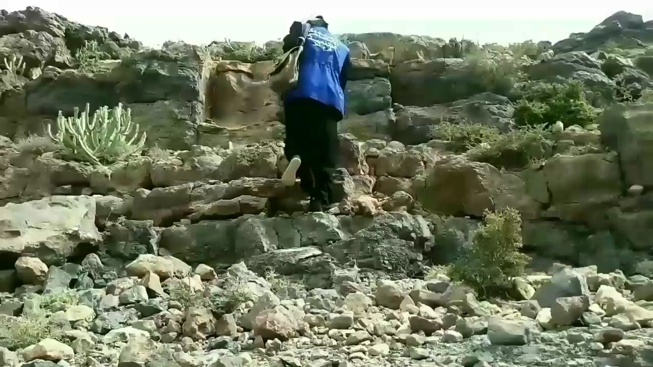 ( أحلام ) .. إبنة المعافر مع أطفالها العشرة