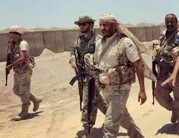 هل يستطيع طارق صالح السيطرة على الحديدة؟ قراءة لمنى صفوان في موازين القوة والقيود السياسية.. وهذه هي نقاط الضعف والقوة