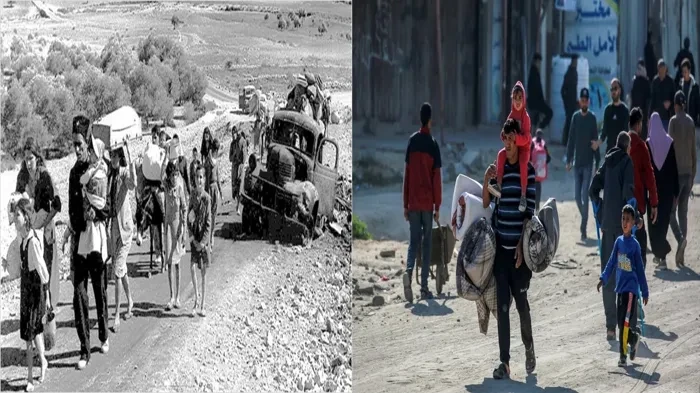 من النكبة إلى الطوفان.. 77 عامًا من مقاومة التهجير الفلسطيني